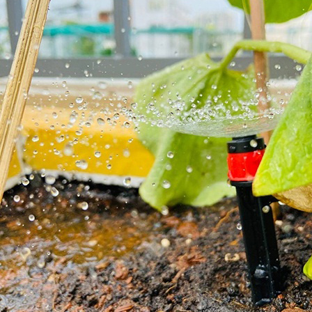 Cây cắm xòe điều chỉnh lưu lượng
