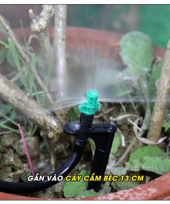 Bộ 3 béc bọ mini