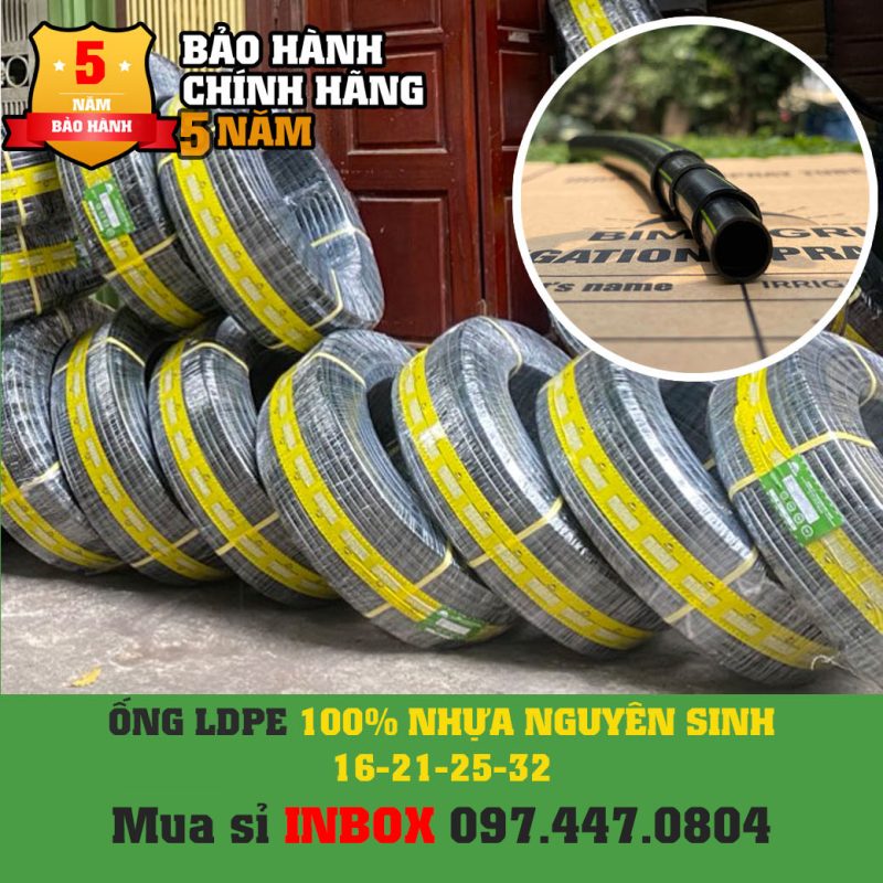 Giỏ hàng
