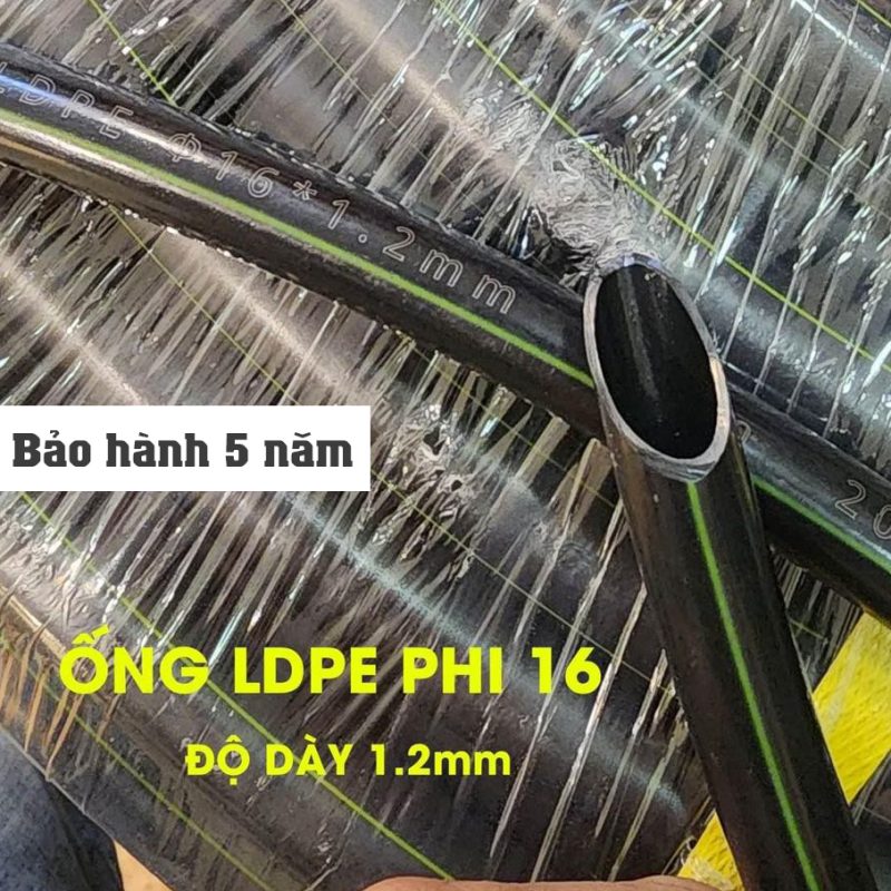 Giỏ hàng