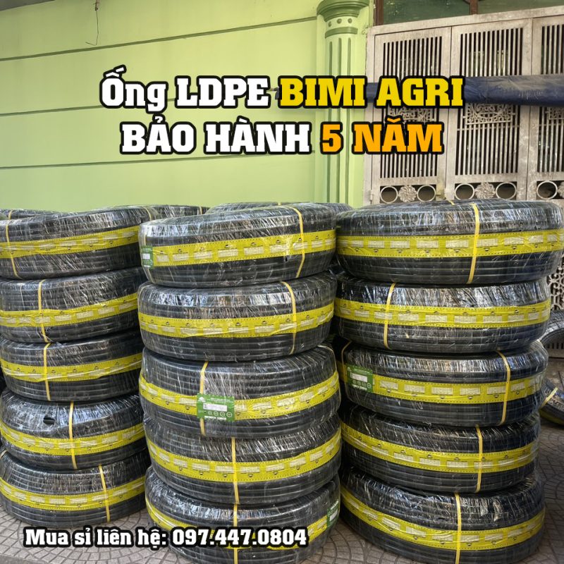 Giỏ hàng