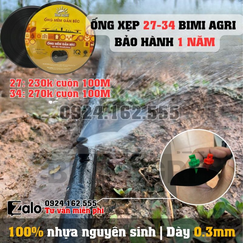 Giỏ hàng