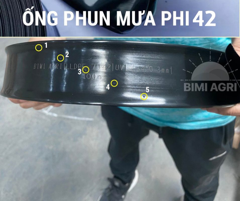 Giỏ hàng