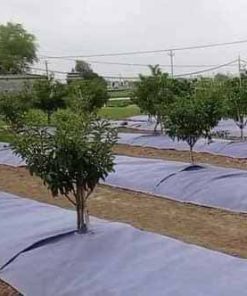 Bạt vuông chống cỏ, ngăn xói mòn đất thấm nước tốt