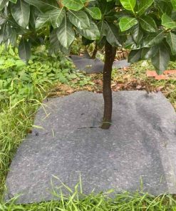 Bạt vuông chống cỏ, ngăn xói mòn đất thấm nước tốt