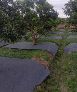 Bạt vuông chống cỏ, ngăn xói mòn đất thấm nước tốt