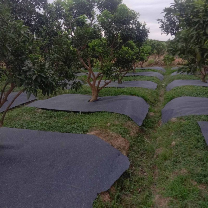 Giỏ hàng