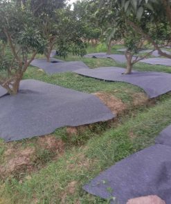 Bạt vuông chống cỏ, ngăn xói mòn đất thấm nước tốt