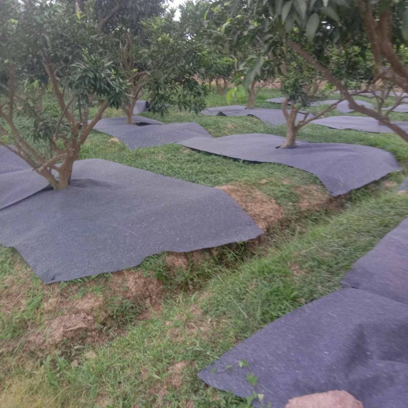Giỏ hàng