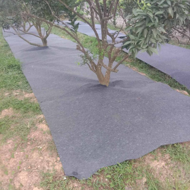 Giỏ hàng