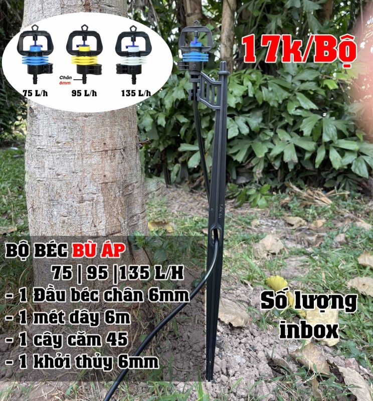 Giỏ hàng