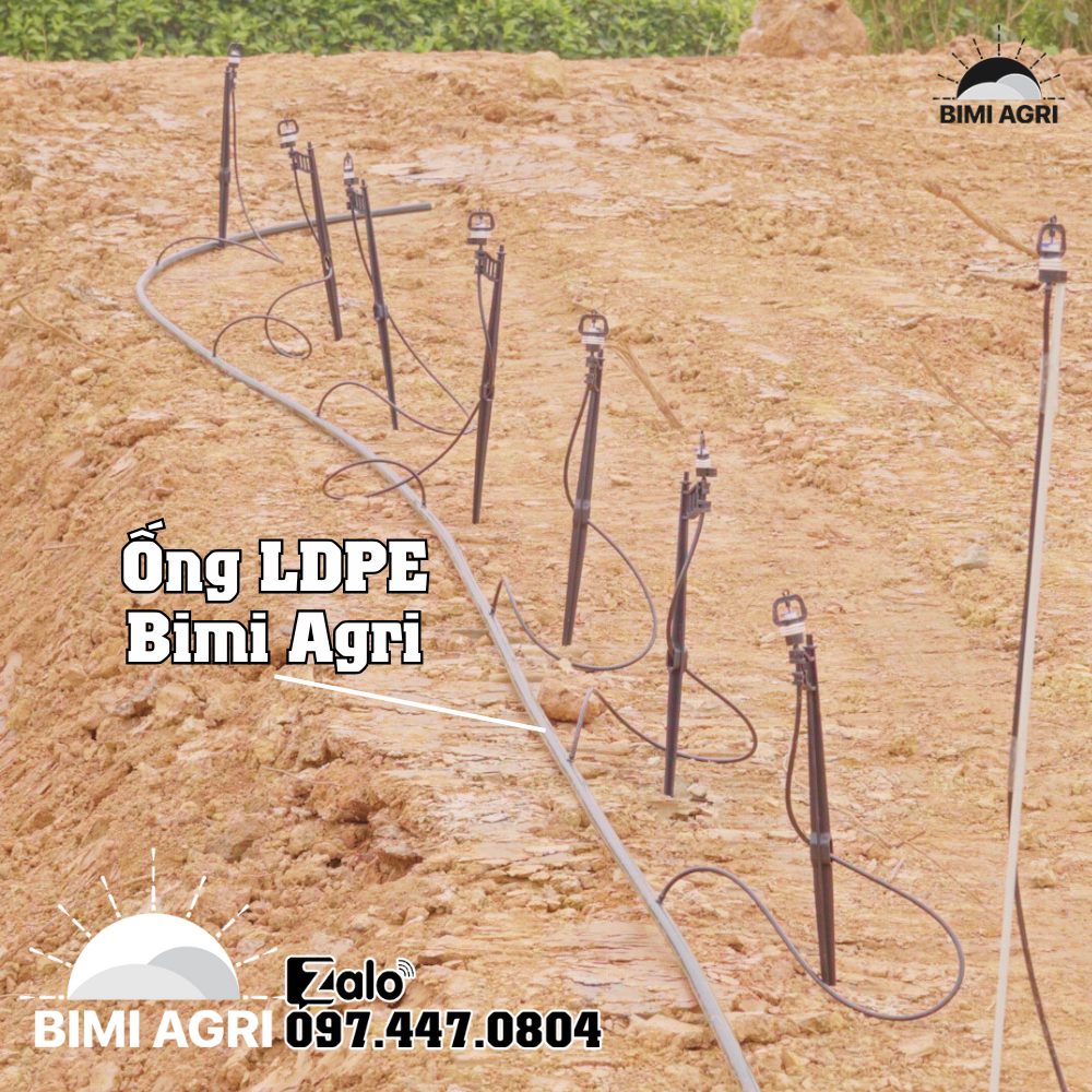 Ứng dụng ống LDPE