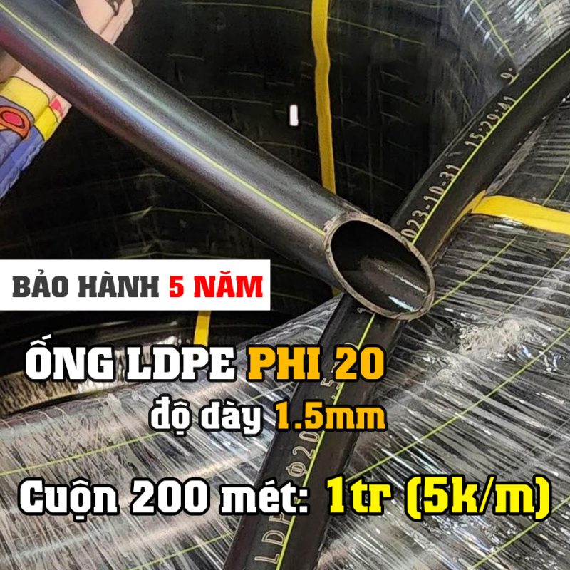 Giỏ hàng